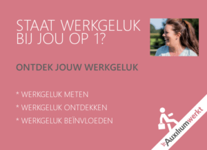 WERKGELUK